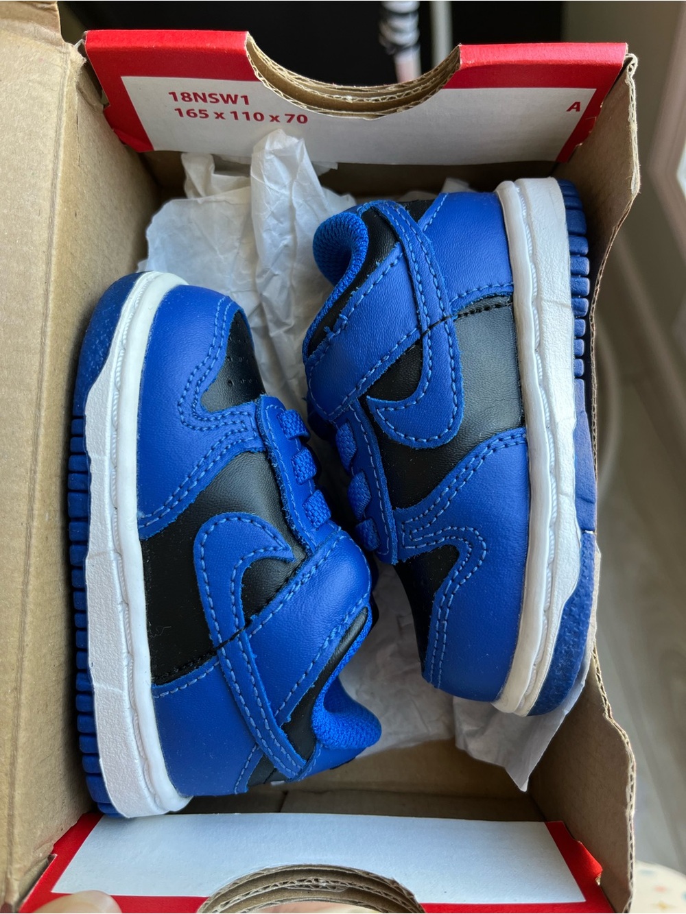 Baby Nike Dunks